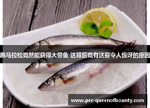 跑马拉松竟然能获得大带鱼 这背后竟有这些令人惊讶的原因