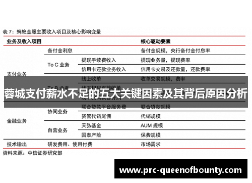 蓉城支付薪水不足的五大关键因素及其背后原因分析 蓉城支付薪水不足的五大关键因素及其背后原因分析