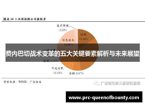 费内巴切战术变革的五大关键要素解析与未来展望